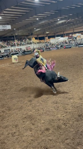 Blessed to be 85.5 on “Dougie Fresh” of Casper Johns to win my section and help my boys and team Montana win it and be the only 5x champs of @cctbullriding battle of the states! @gavinknutson20 @cadenfitz_ | Devyn Hundley