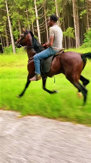 eddiecane240 (@eddiecane240)’s videos with Why Me? - Reggie P