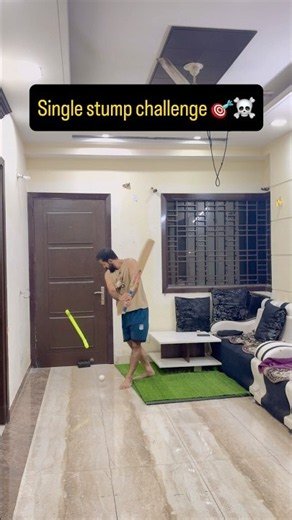 The Ultimate Single Stump Challenge! 🎯 Clean Bowled! #shorts #cricket