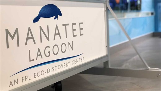 Fun Spring Break ideas in Central Palm Beach County