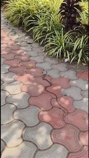 Watch closely—do you see the snake performing its dance?