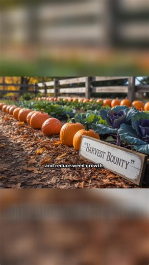 Leaf Mulch Magic_ Transform Your Garden Naturally! ✨ Transform your garden with the power of leaf mulch! 🍂 Learn how fallen leaves can enrich your soil, lock in moisture, and feed your plants naturally—no chemicals, no cost, just pure garden magic. 🌿💧 #LeafMulch #OrganicGardening #SustainableLiving #GardenHacks #future | Sanctuary Garden