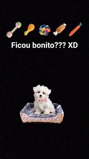 ficou bonito?? XD #filtro #cachorinho