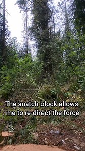 9.6K views · 76 reactions | Here is some footage of a yarding with recently dead ceadars that were salvaged and turned into live edge or dimensional lumber. Message me for anything live edge or rough cut cedar蘭 #cedar #liveedge #milling #sawmill #canada #liveedgeslab #sawmilling | Cedar Edge | Facebook