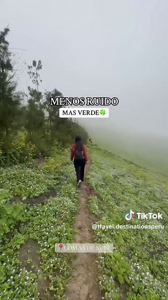 📍FULL DAY LOMAS DE SUPE📍 Las lomas de supe se encuentra en el distrito de Supe en la provincia de barranca en el departamento de Lima a tan solo 3 horas de Lima se encuentra este paraíso lleno de verdor y naturaleza un destino ideal para pasarlo en familia o tu persona favorita . FECHAS PROGRAMADAS 15 de septiembre 21 de septiembre ◾Puntos de embarque: LA RAMBLA PLAZA NORTE ⬛ 𝗤𝗨𝗘 𝗜𝗡𝗖𝗟𝗨𝗬𝗘 Transporte turístico ida y vuelta. Guía de turismo y/o Asistente de Turismo Gratis 1 vino para el