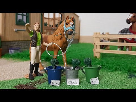 Das neue Schulpony - Schleich