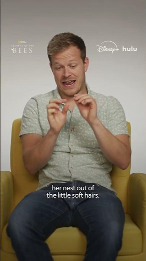 Nature’s secrets are never far away if you know where—and how—to look 🐝 #SecretsOfTheBees