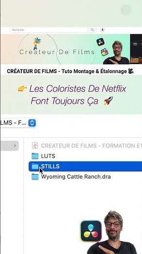 Les Coloristes De Netflix Font Toujours Ça - DaVinci Resolve Pour Débutant #editing #montagevideo