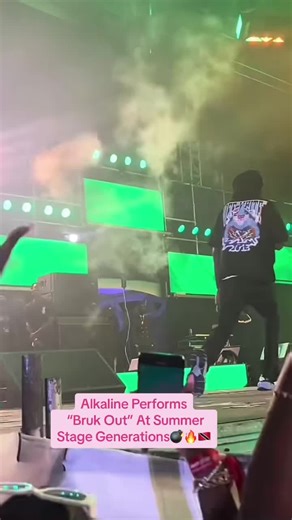 Alkaline Bruk Out Performance at Summer Stage Generations