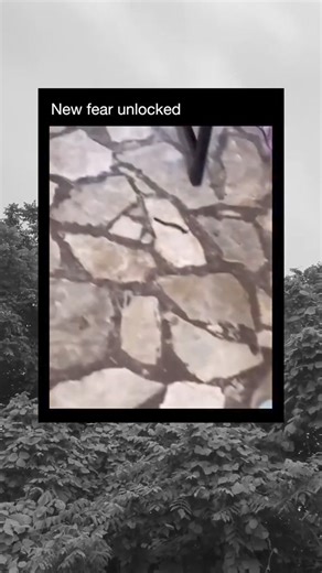 Scary Videos | Mandy Harvey