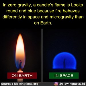 37K views · 986 reactions | 10 Amazing mind blowing facts | Facts that will blow your mind | Facebook