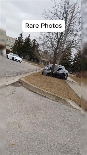 #fentysuperbrandday #interesting #rare #usa #xyzbca #xyz #explore | Atlas Fox