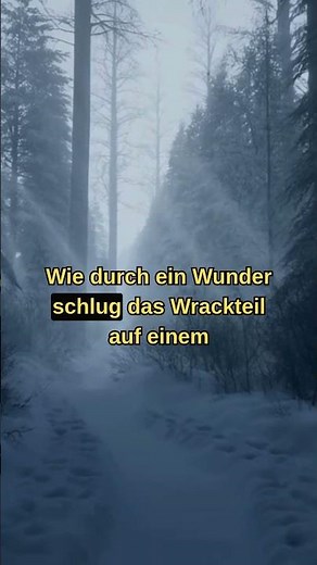 10.000 Meter freier Fall – ohne Fallschirm ✈️❄️