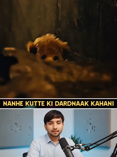 Nanhe Kutte Ki Dardnaak Kahani A tiny puppy watches his mother being taken away and is left all alone. Through cold nights, hunger, and fear, he refuses to give up. One unexpected act of kindness from a young boy changes his life forever. This emotional journey shows how hope, courage, and love can turn even the darkest moments into a beautiful new beginning. #EmotionalStory #PuppyStory #HeartTouching #AnimalRescue #InspiringJourney #StrayDog #KindnessMatters #DogLovers #HopeAndLove #ShortFilm