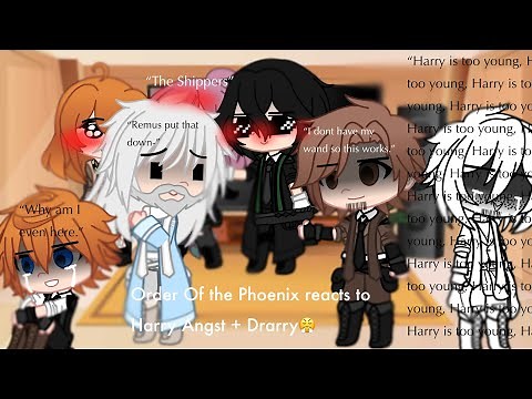 Order of the Phoenix reacts to Harry(angst) + Drarry
