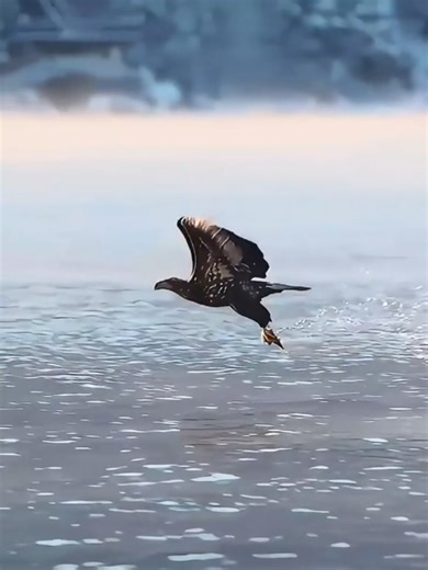 Understanding the Nepal Share Market in 2023