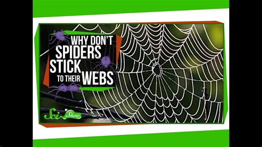 Why don’t spiders stick to their webs?