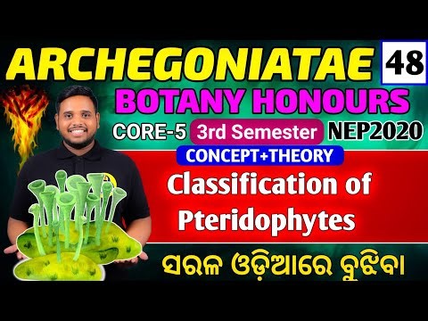 Classification of Pteridophytes|Classification|Archegoniates core5|Botany honours core-5