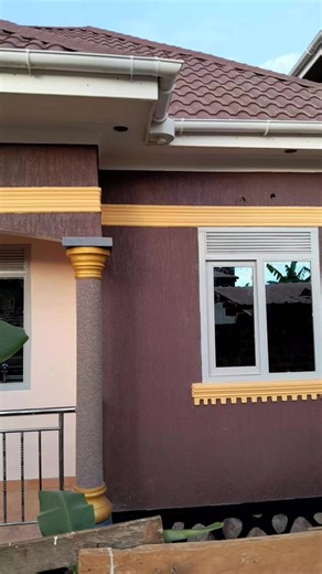 Zcoat Paints: Transform Your Space with Vibrant Colors