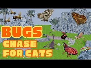 Bug Chase for Cats Vol.2 | Insects Moving on Screen | Cat Games TV
