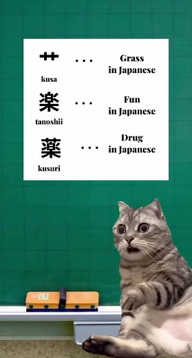 Master Japanese with Fun Language Learning Tips