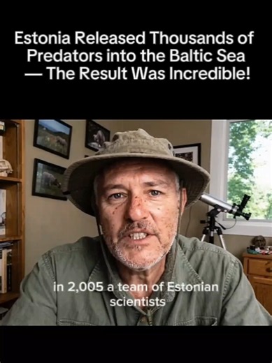 Estonia Released Thousands of Predators into the Baltic Sea — The Result Was Incredible! In 2005, Estonian scientists quietly began releasing thousands of Atlantic sturgeon into the Baltic Sea, a fish so ancient it outlived the dinosaurs and was declared extinct here in 1986. This is the full story of how a species was rebuilt from just six surviving animals, how each fish was tagged so scientists could trace it for decades, and how the whole rescue nearly leaked away through fishing nets before