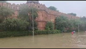 22 reactions | ⚠️यमुना नदी में जलस्तर ने तोड़े सारे रिकॉर्ड. लाल किले तक पहुंच गया पानी. यदि संभव हो तो बाहर न निकलें! #YamunaWaterLevel #yamunariver #delhifood | Weather & Radar India | Facebook