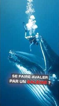 What if you got swallowed by a whale? 😨