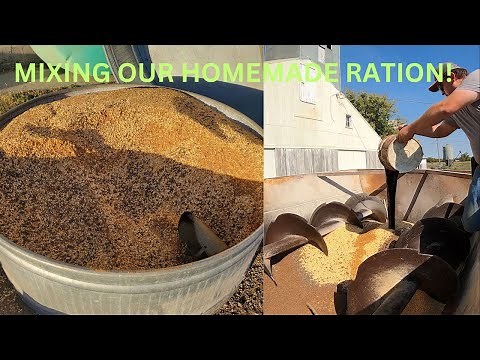 How do we mix our feed for our cattle?
