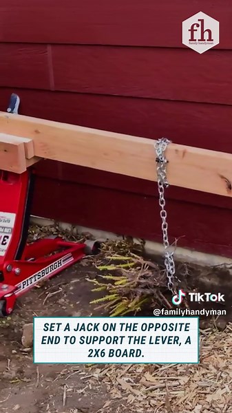 No, you don't have to dig when learning how to remove bushes and shrub roots! #landscapingtips #landscaping #shrubremoval