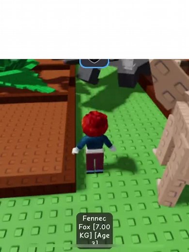 #growagarden #gag #dupepet #fyp #script #roblox script in comment
