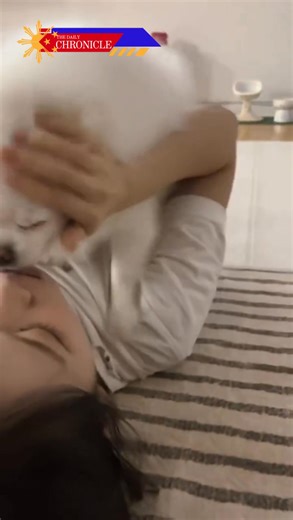 “Love or gross? 🤔 LE SSERAFIM’s Kim Chaewon went viral after kissing her dog Shiro — and the internet can’t agree. Is this sweet pet affection or just crossing the line? 🐶💋🔥” #KimChaewon #LESSERAFIM #Shiro #ViralVideo #PetLoveOrTooMuch #KpopControversy #CultureClash #IdolLife #FanDebate | Daily Chronicle