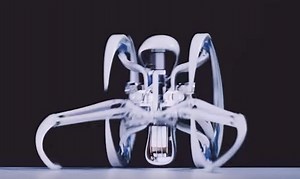 Spider-Inspired Robots