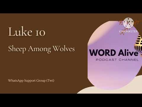 Luke 10 || Sheep Among Wolves || Twi