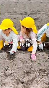 【やまざと食農プロジェクト2026】十勝のジャガイモ、おいしく育てます！ #北明やまざと幼稚園 #幼稚園 #食農教育