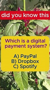 PayPal, Dropbox, or Spotify? 💳 | Digital Payment Quiz | Tech & Finance | Cashless Corner #iqvistax