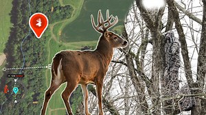 Change the narrative I Hanging Tree Stands Novix Outdoors ASIO Gear onX Hunt | Team Radical