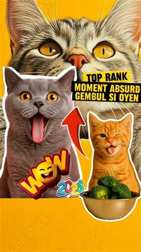 Top Moment Absurd Kucing Lucu Si Oyen Part 15 #kucingimut #kucinglucubandung #kucinglucu