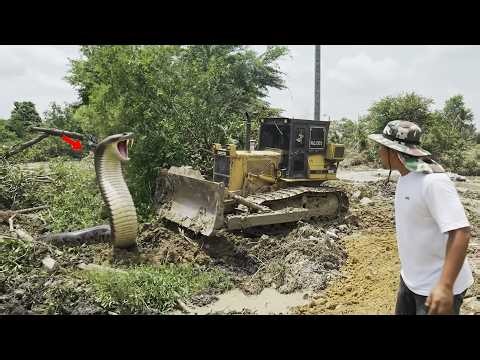 Great Technique Complete 100% New Road Building By Bulldozer KOMATSU D41P and 24Ton Truck Delivery