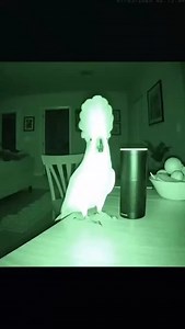 Midnight Dance Session | Tourist Channel