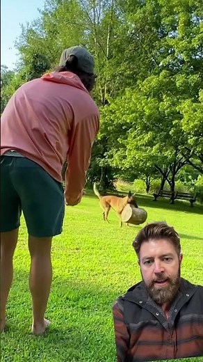 This Is The World's Most Insane Dog