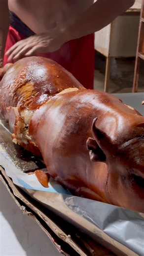 3.3K views · 18 reactions | From our spit to your plate! authentic Cebu-style lechon at its finest! Whole roasted goodness that steals the show! order Ygo’s Lechon now! F R E E B I E S ✅Dinuguan/Tidtad ✅Puto ✅Coke 1.5 ✅Chicharon bulaklak ✅Ygo’s lechon sauce Fb page: Ygo’s lechon 09927213303 #SaraaaaapToTheBonesKahitWalangSauce #bestlechon #AllTimeFavorite #happytoserve #lechon #yummy | Ygo's Lechon | Facebook
