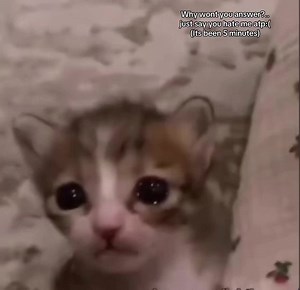 Exploring Abandonment in Love: Why Won't You Text Back?