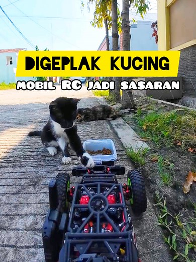 Mobil RC digeplak sama kucing liar 🐱😅 #WiraWiris #RC #RCcar #RCspeed #RCracing #RCbuggy #RCdrift #RCadventure #RemoteControl #FPV #FPVRC #RCFPV #MobilRemot #Cat #CatLover #CatLovers #Pet #StreetFeeding #StreetFeedingCat