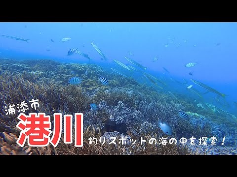 【沖縄】8分でわかる港川～釣りスポットの海の中を探索！