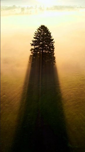 Ludovico Einaudi - Una Mattina (Movie: The Intouchables) CINEMATIC AND ATMOSPHERIC Piano MUSIC