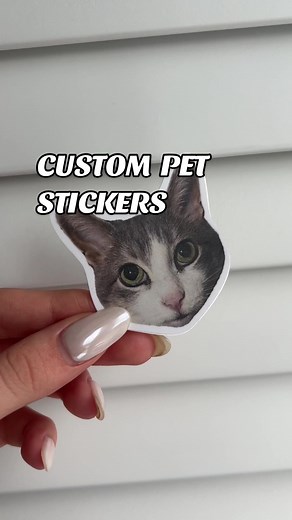 Make custom stickers of your pet on stickeryou.com✨ #customstickers #customsticker #petsoftiktok #petlovers #catsoftiktok #catlover