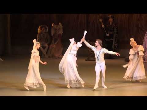 Swan Lake (Mariinsky Ballet) Act 2 - Dance of the Brides