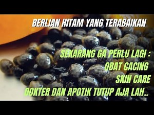 Wow....!! The miracle of papaya seeds that will save your health. Check the facts..!!