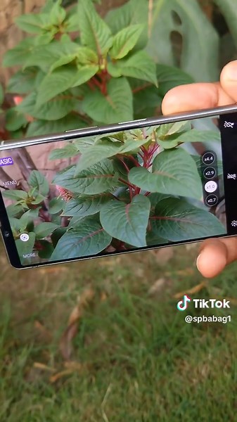 Sony Xperia 5 III Camera Test Review